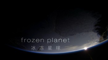 冰冻星球 [原盘DIY] [央视国语] [简繁特效中字] *改进版* BBC.Earth.Frozen.Planet.S01.Blu-ray.1080i.AVC.DTS-HD.MA.5.1-TTG    [115.29 GB]-2.jpg