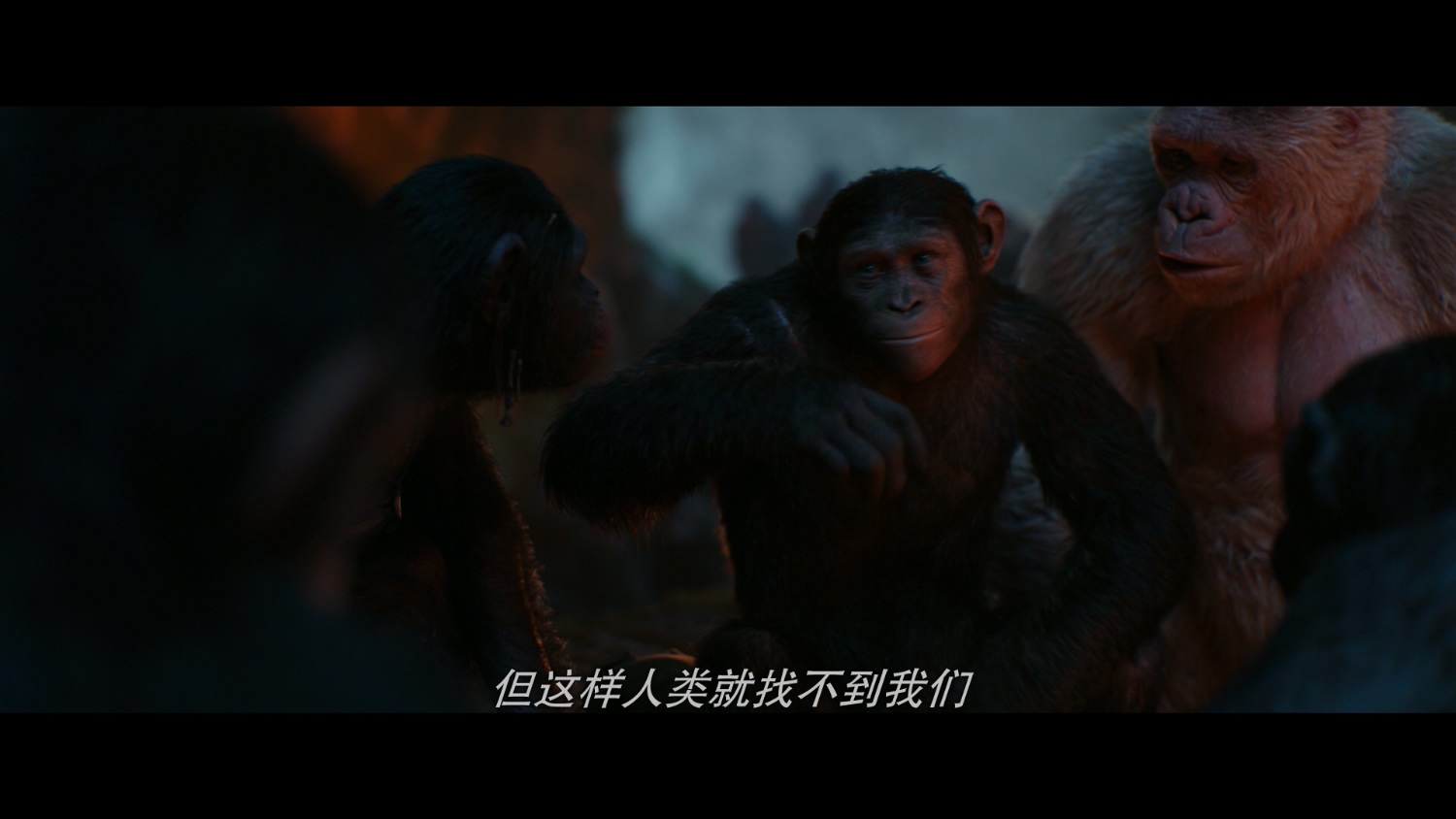 猩球崛起3：终极之战【港版3D原盘自带繁粤字 DIY国语/简字/简繁/双语动态特效字幕】 War for the Planet of the Apes 2017 HK 3D 1080p DTS-HD MA 7.1-bb@HDSky [46.37 GB  ]-28.jpg