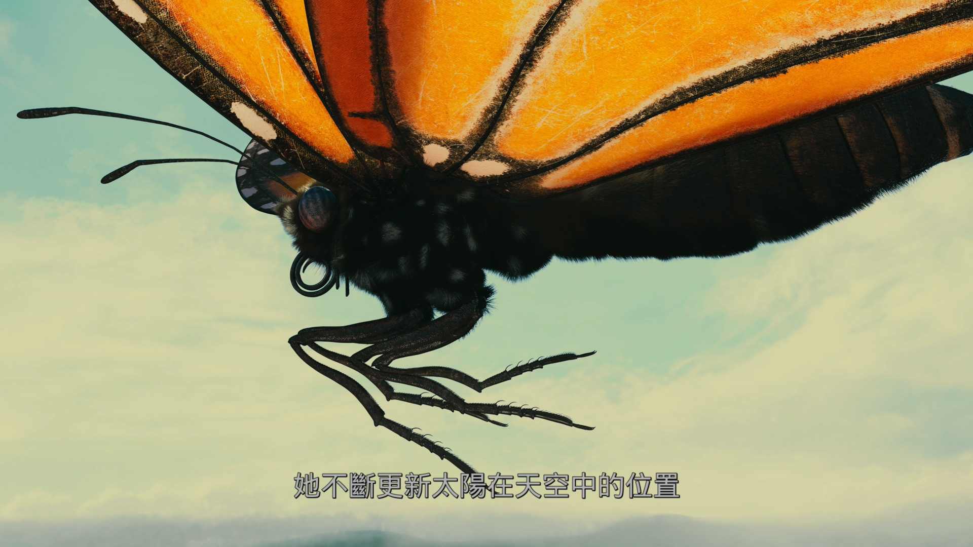 帝王蝶的迁徙[DIY简繁/简繁双语字幕] 4K UHD原盘 IMAX纪录片 Flight of the Butterflies 2012 2160p UHD Blu-ray HEVC Atmos-wezjh@OurBits     [53.13 GB]-3.jpg