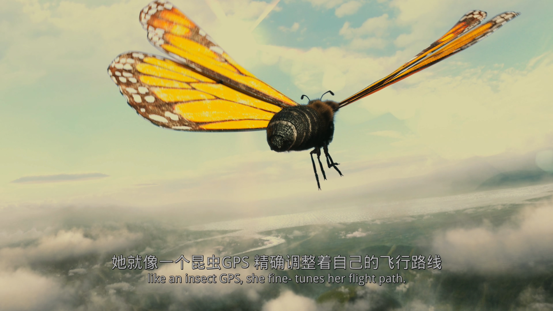 帝王蝶的迁徙[DIY简繁/简繁双语字幕] 4K UHD原盘 IMAX纪录片 Flight of the Butterflies 2012 2160p UHD Blu-ray HEVC Atmos-wezjh@OurBits     [53.13 GB]-4.jpg