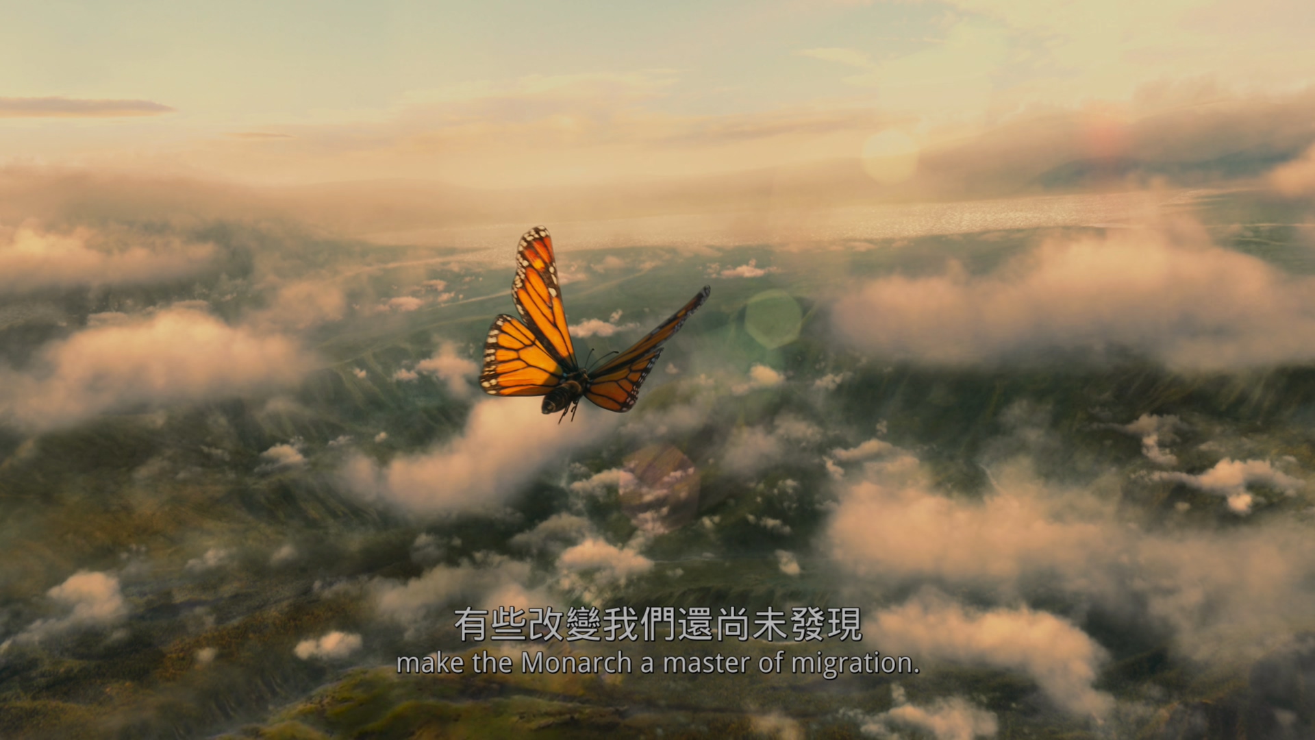 帝王蝶的迁徙[DIY简繁/简繁双语字幕] 4K UHD原盘 IMAX纪录片 Flight of the Butterflies 2012 2160p UHD Blu-ray HEVC Atmos-wezjh@OurBits     [53.13 GB]-5.jpg