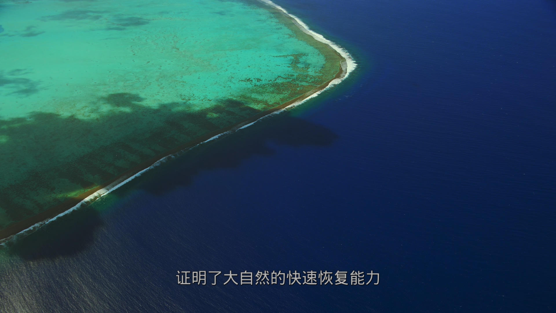 最后的珊瑚礁[DIY简繁/简繁双语字幕] 4K UHD原盘 IMAX纪录片 The Last Reef 2012 DOCU 2160p Blu-ray HEVC Atmos-wezjh@OurBits     [44.32 GB]-3.jpg