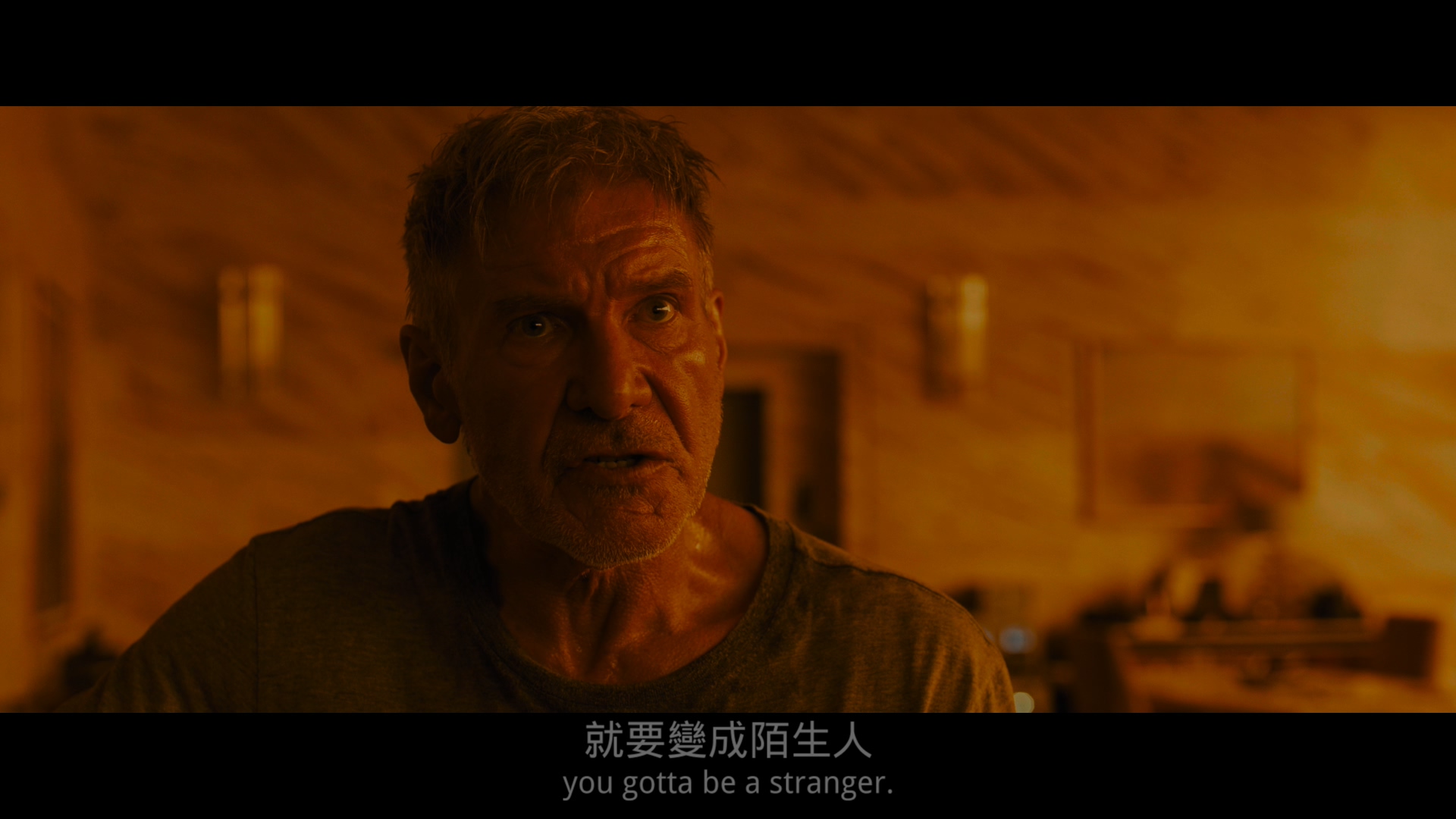 银翼杀手2049 [DIY简繁/简繁双语字幕] 高码版 4K UHD原盘 Blade Runner 2049 2017 2160p UHD Blu-ray HEVC Atmos-wezjh@OurBits     [83.59 GB ]-5.jpg