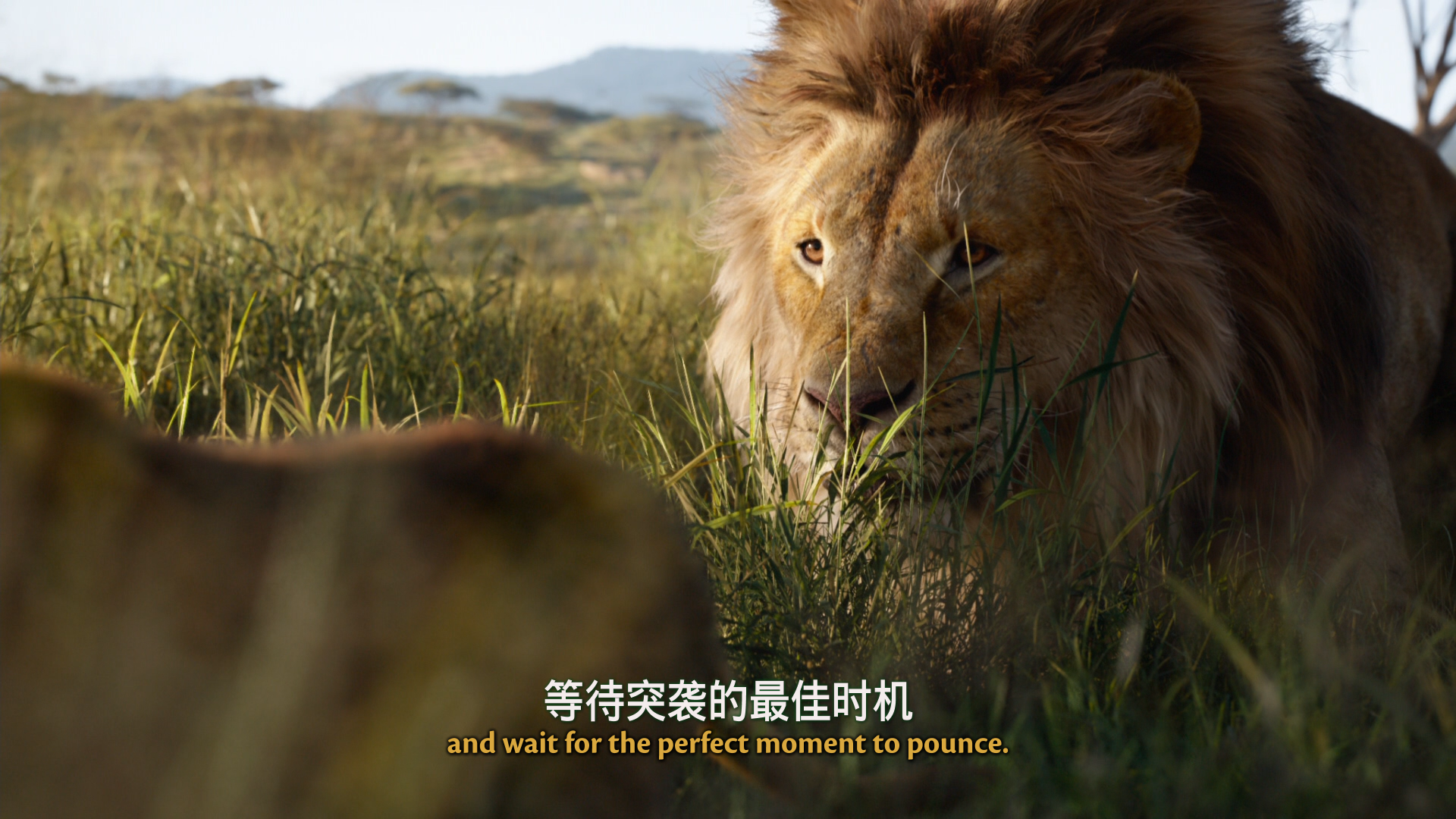 狮子王 / 狮子王真人版【原盘DIY台配国语/粤语 简繁/双语特效字幕】“修复蓝光机黑屏问题” The Lion King 2019 1080p V2 Blu-ray AVC DTS-HD MA 7.1-Thor@HDSky[42.52 GB]-17.png