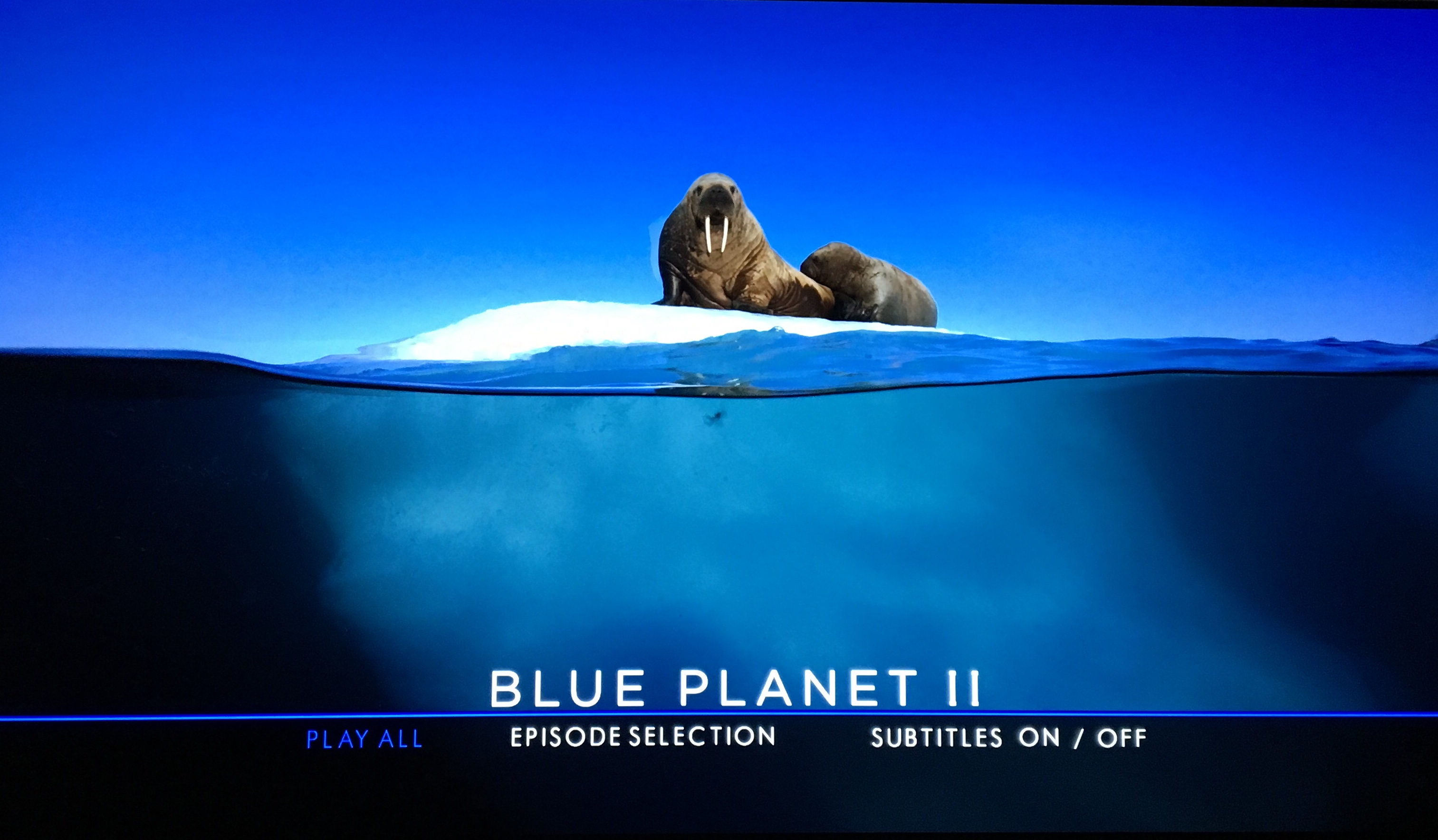 BBC 蓝色星球第二季 全3碟[DIY简繁/简繁双语字幕] 4K UHD原盘 ISO封装 Blue Planet II 2017 2160p UHD Blu-ray HEVC DTS-HD MA 5.1-wezjh@OurBits    [151.56 GB ]-2.jpg