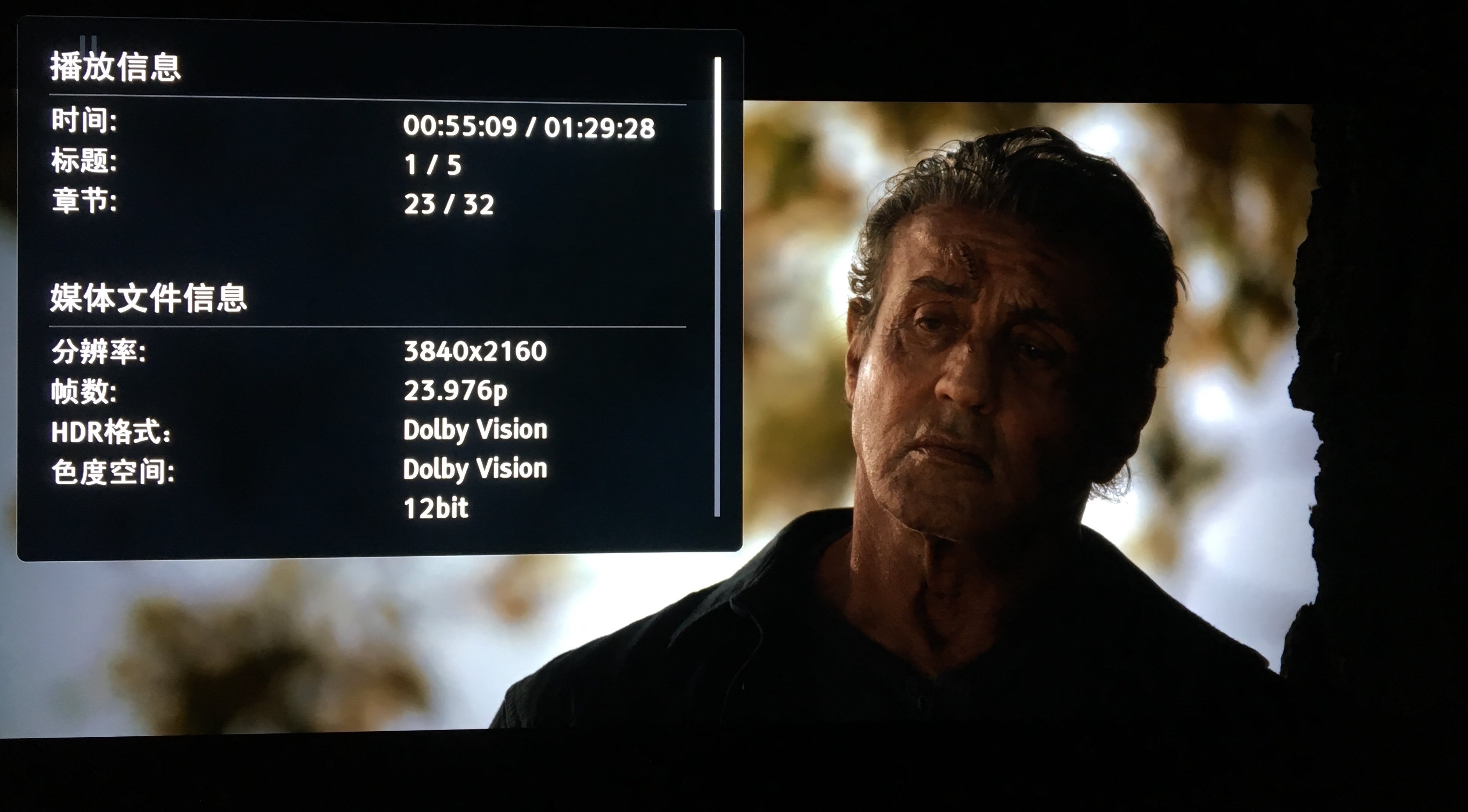 第一滴血5:最后的血[DIY简繁双语字幕] 4K UHD原盘[保留dolby vision] [自看版 不喜勿下] Rambo Last Blood 2019 UHD Blu-ray 2160p HEVC Atmos-wezjh@OurBits     [54.94 GB]-2.jpg