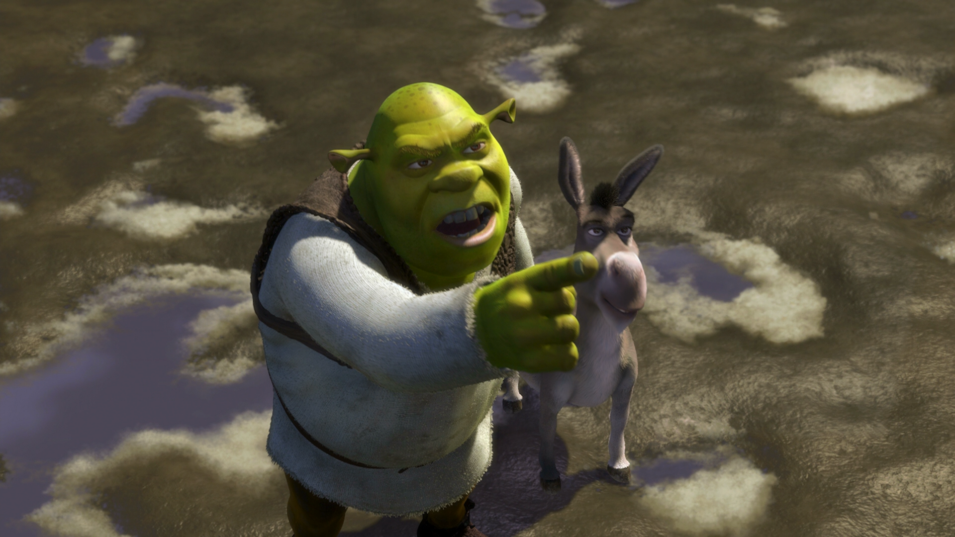 [怪物史莱克1-4].Shrek.I-Ⅳ.3D.BluRay.1080p.AVC.TrueHD.7.1@HDSky[134.16G]-3.png