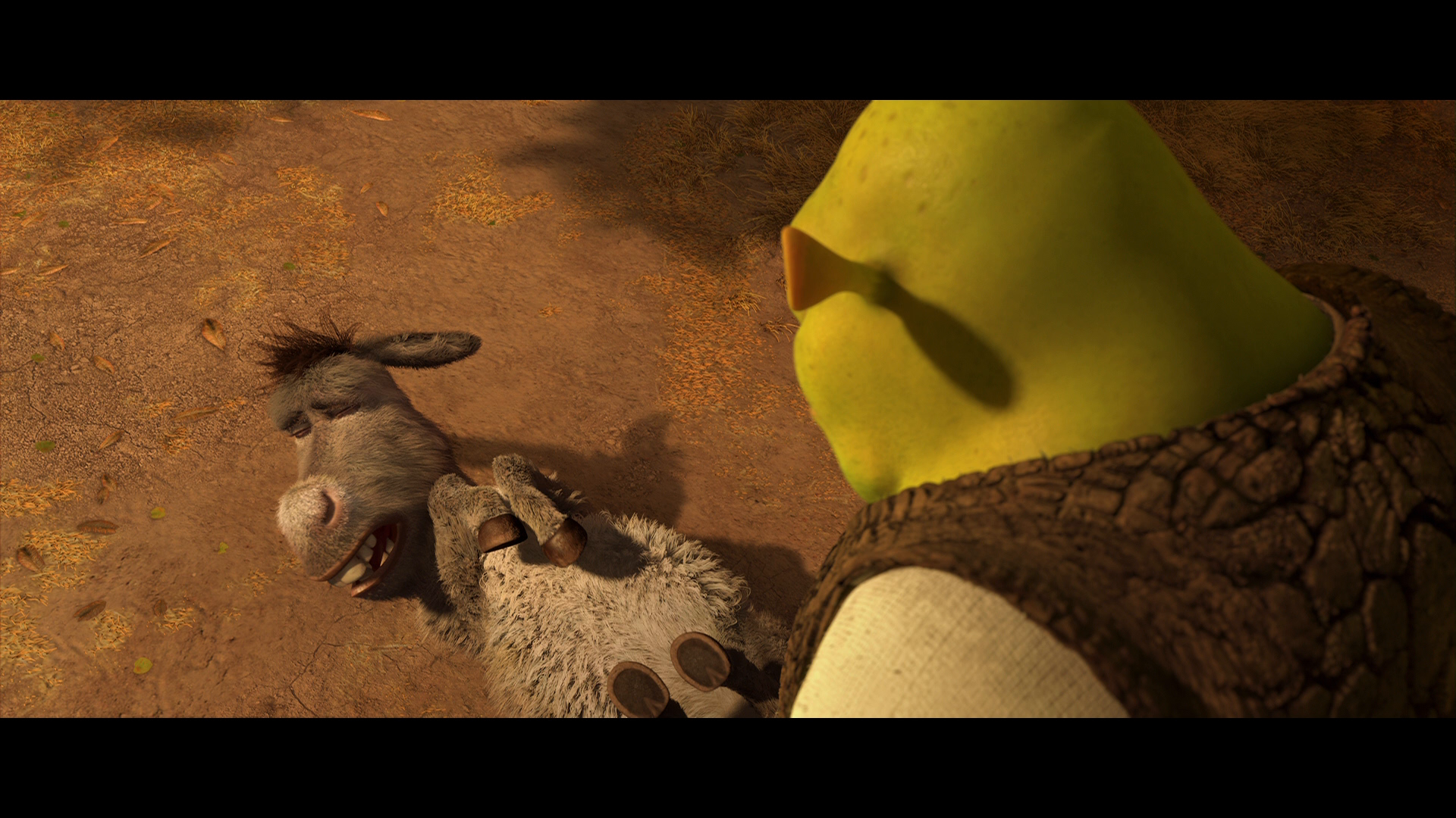 [怪物史莱克1-4].Shrek.I-Ⅳ.3D.BluRay.1080p.AVC.TrueHD.7.1@HDSky[134.16G]-19.png