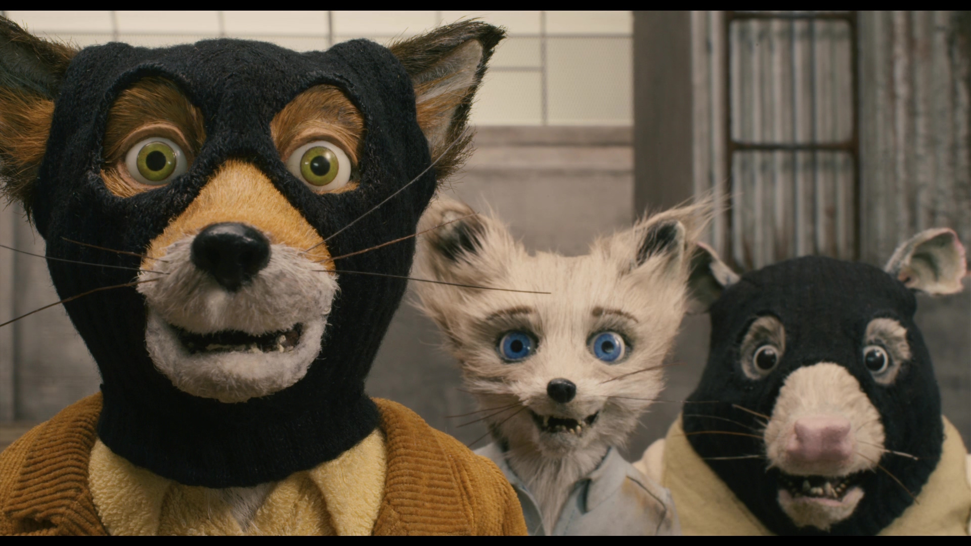 [了不起的狐狸爸爸].Fantastic.Mr.Fox.2009.CC.BluRay.1080p.AVC.DTS-HD.MA.5.1-blucook@CHDBits   44.5G-10.jpg
