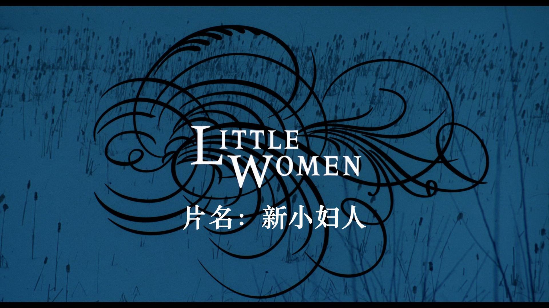 [小妇人].Little.Women.1994.BluRay.1080p.AVC.DTS-HD.MA.5.1-weiwei2001@CHDBits    22.62G-3.jpg