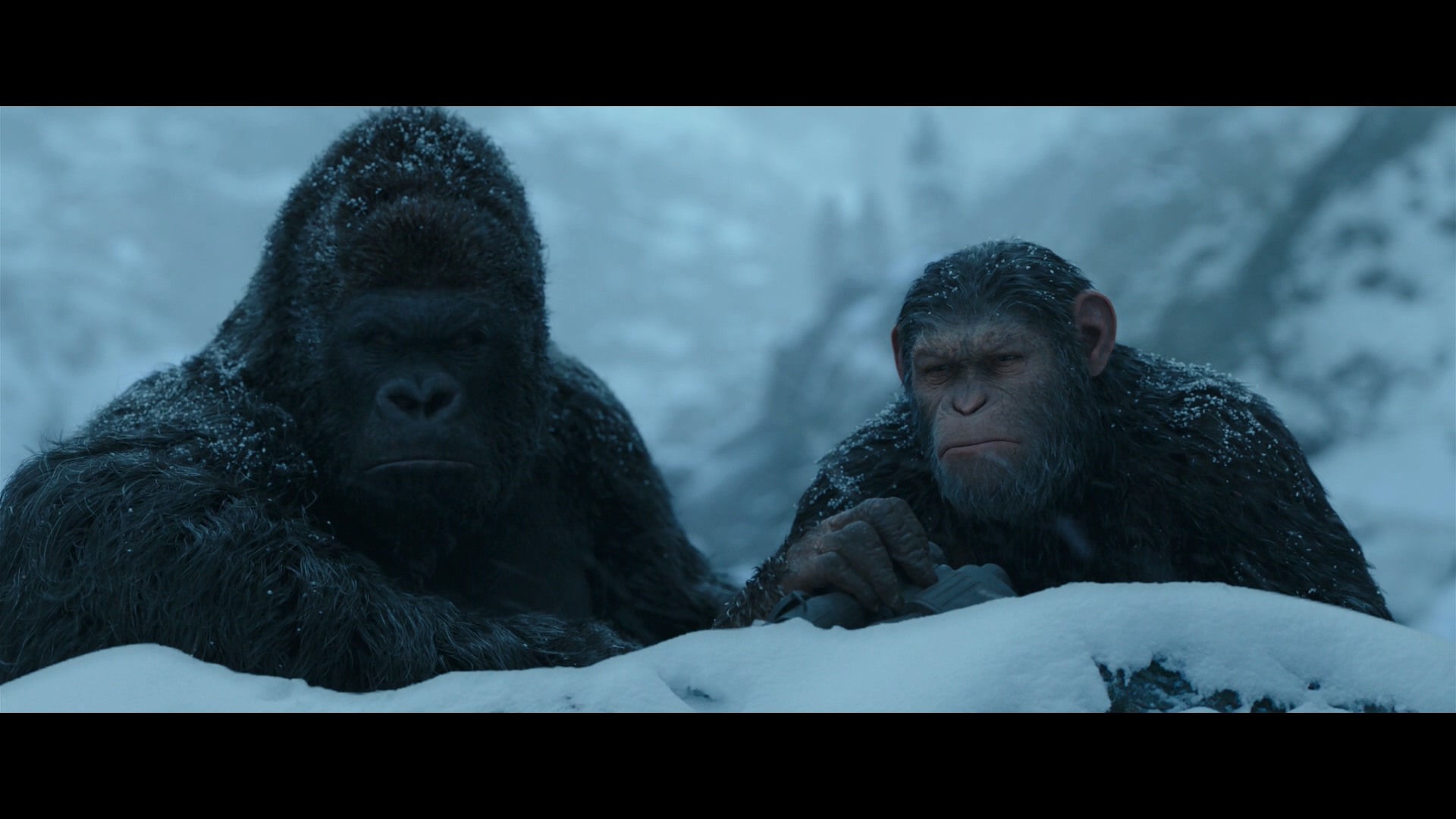 War.for.the.Planet.of.the.Apes.2017.HK.Blu-ray.1080p.DTS-HD.MA.7.1-sgNb@CHDBits 45.92G-6.jpg