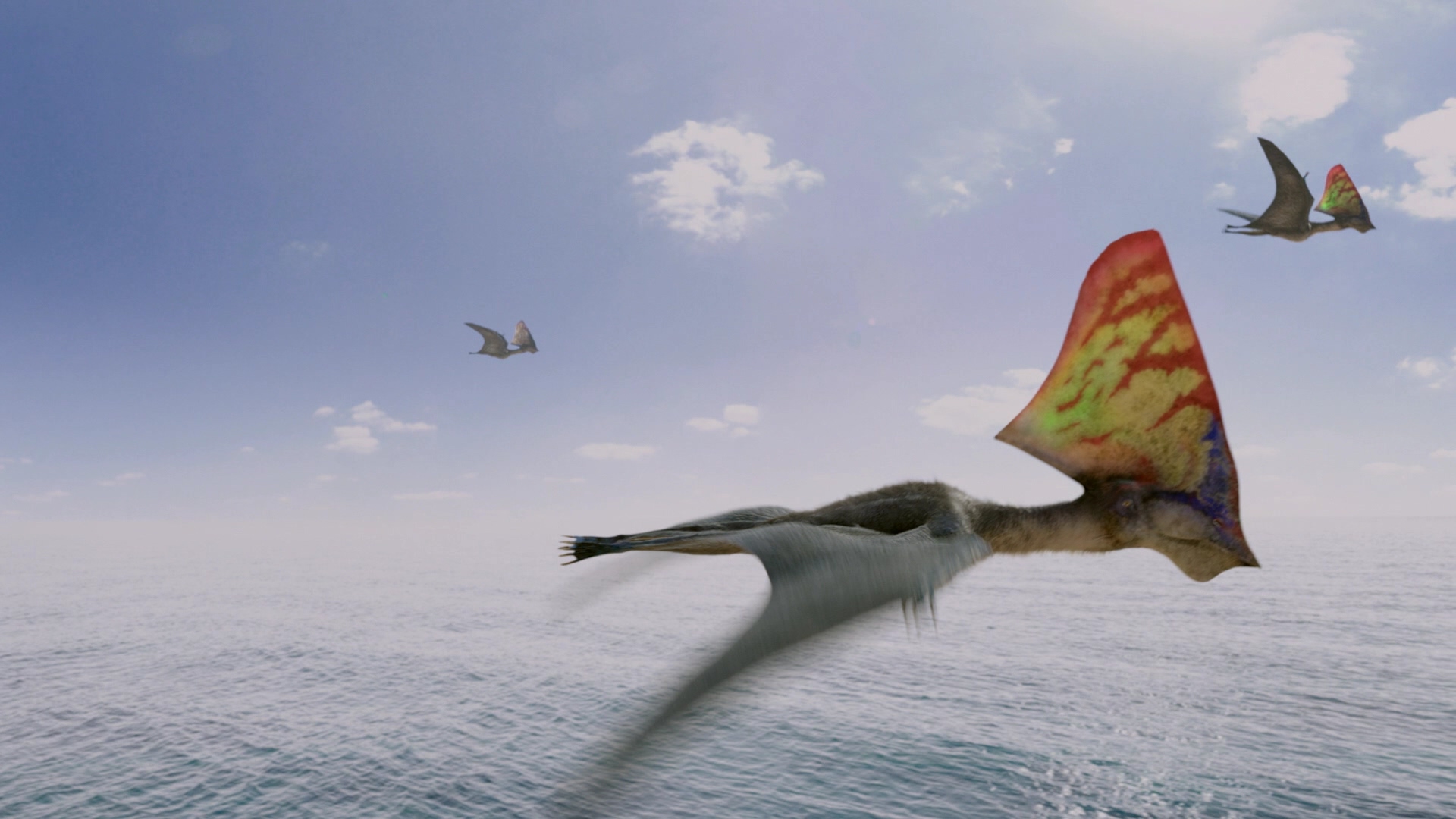 [空中怪兽].Flying.Monsters.With.David.Attenborough.2011.3D.BluRay.1080p.AVC.DTS-HD.MA.5.1-DIY@CHDBits     37.28G-8.jpg