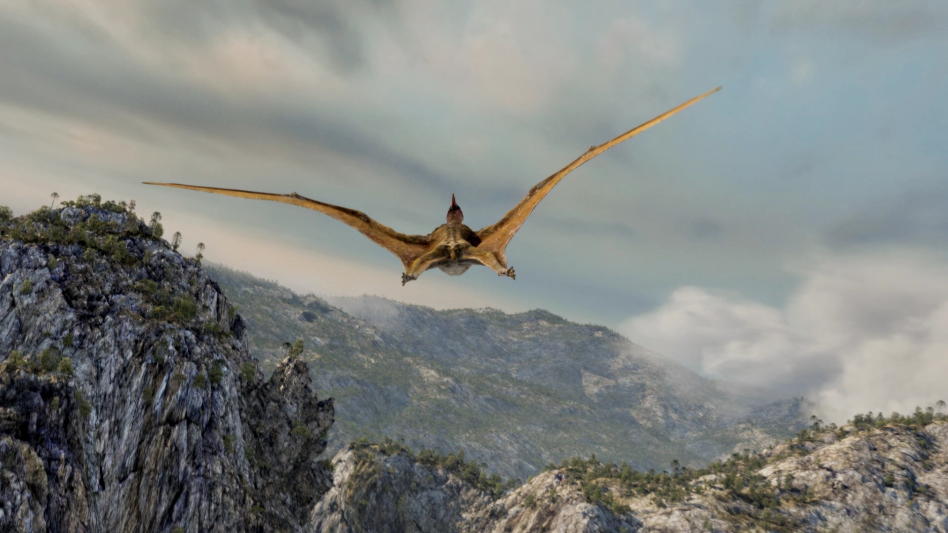 [空中怪兽].Flying.Monsters.With.David.Attenborough.2011.3D.BluRay.1080p.AVC.DTS-HD.MA.5.1-DIY@CHDBits     37.28G-12.jpg
