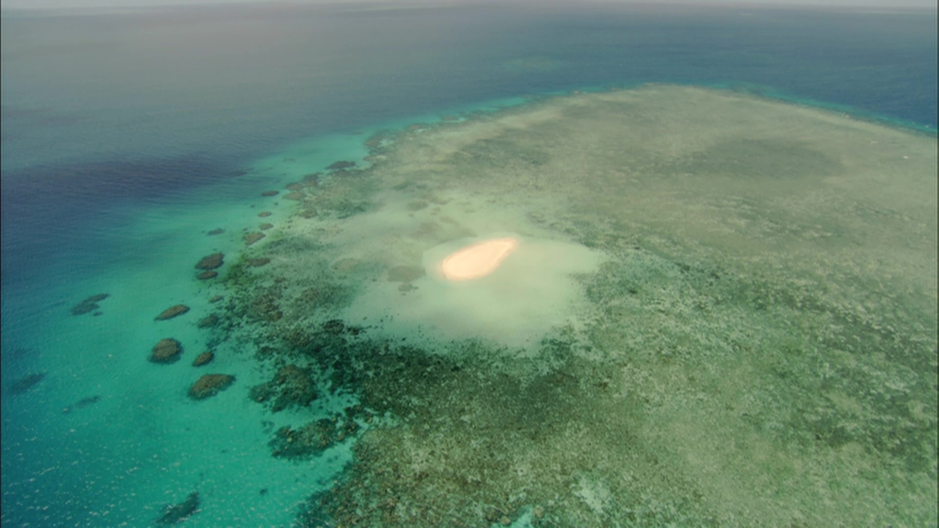 [BBC·大堡礁].BBC.Great.Barrier.Reef.2012.BluRay.1080i.AVC.DTS-HD.MA.2.1-TTG   35.25G-3.jpg