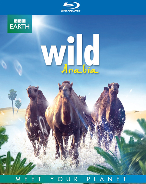 [BBC·狂野阿拉伯].Wild.Arabia.2013.BluRay.1080p.AVC.DD2.0-TTG[22.48G]-1.jpg