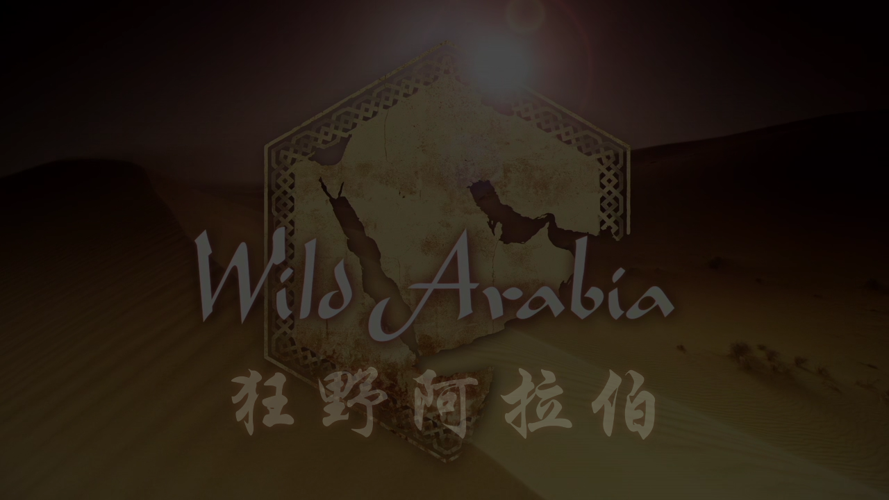 [BBC·狂野阿拉伯].Wild.Arabia.2013.BluRay.1080p.AVC.DD2.0-TTG[22.48G]-4.png