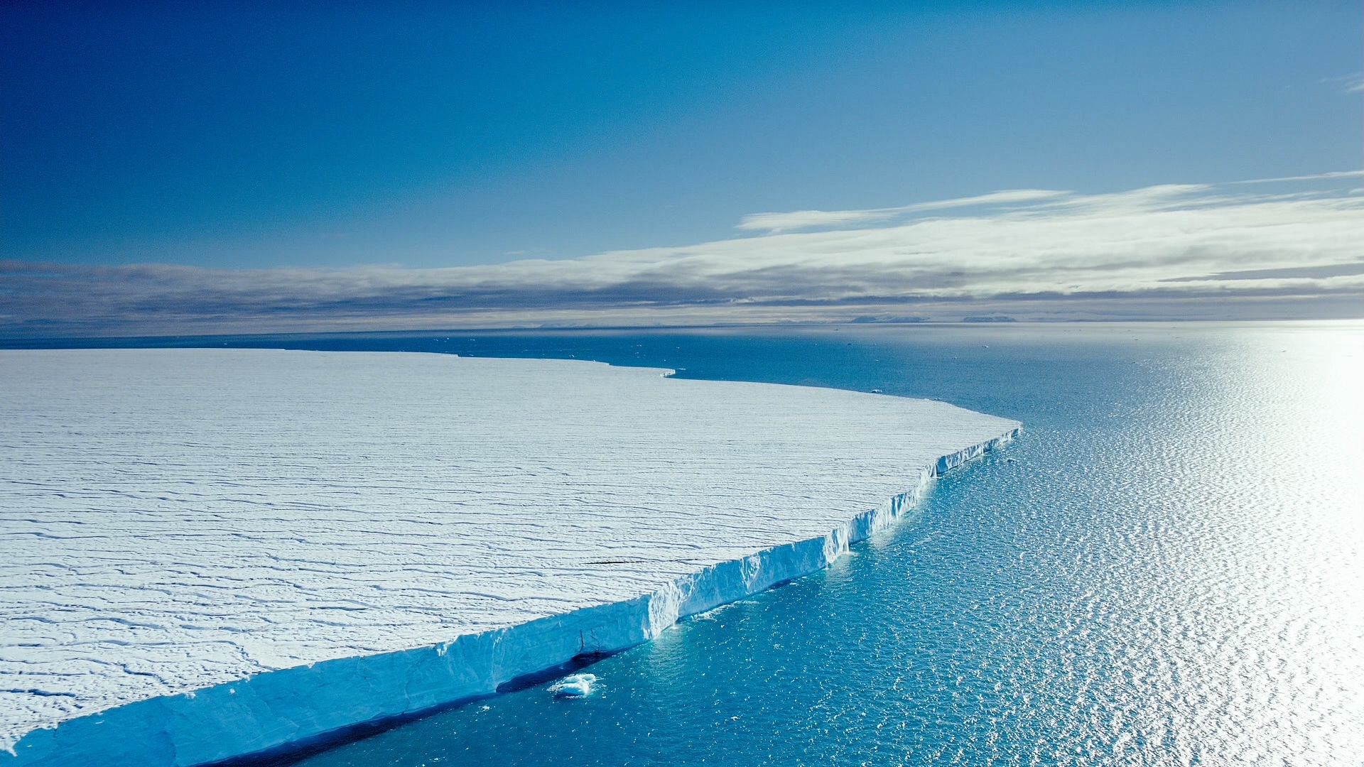 [IMAX·北极熊心].IMAX.To.The.Arctic.2012.2D+3D.BluRay.1080p.AVC.DTS-HD.MA.5.1-TTG    22.36G-3.jpg