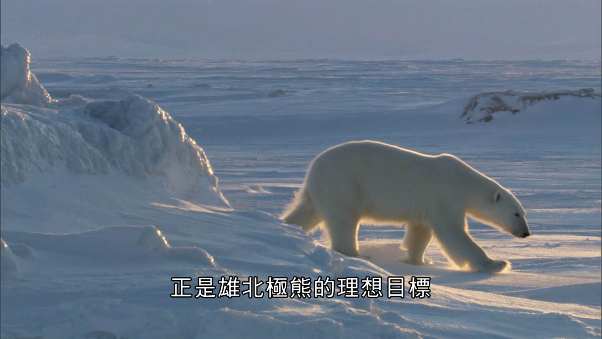 [BBC·冰冻星球].BBC.Frozen.Planet.2011.Dsic1.BluRay.1080i.AVC.DTS-HD.MA.5.1-lihoru99@TTG     41.98G-5.png