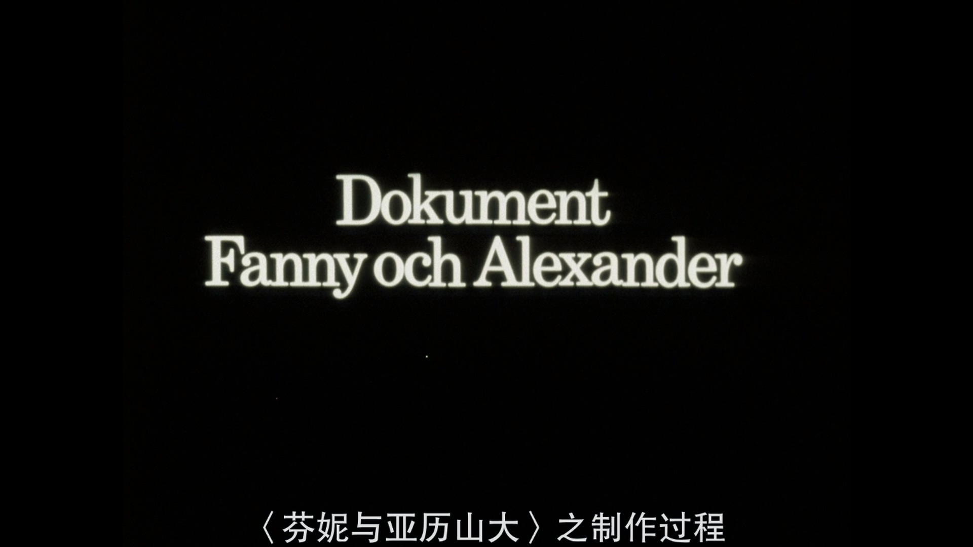 [芬妮与亚历山大].Fanny.and.Alexander.1982.CC.BluRay.1080p.AVC.DTS-HD.MA.1.0-白自在[135G]-10.jpg