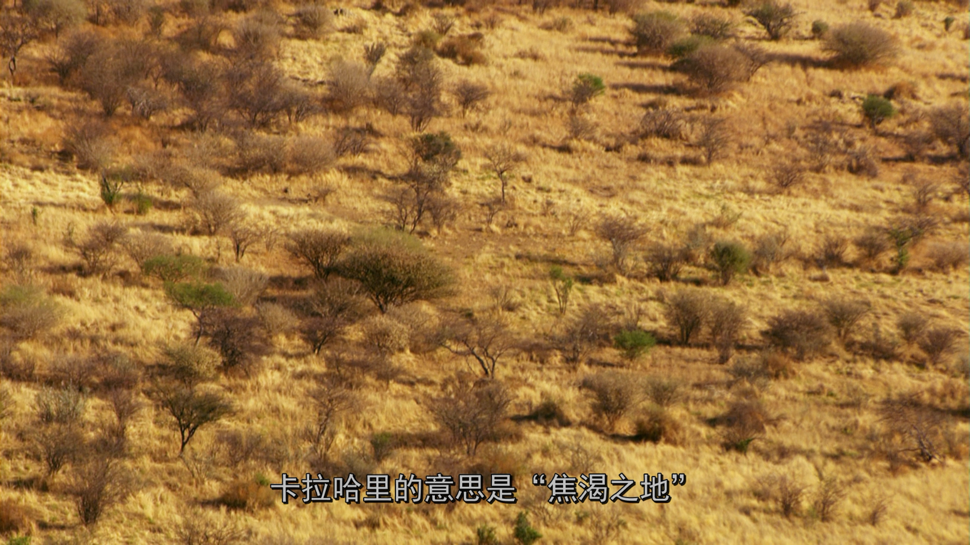 [BBC·非洲].Africa.2013.S01D01.BluRay.1080i.AVC.DTS-HD.MA.5.1-TTG    35.95G-5.png