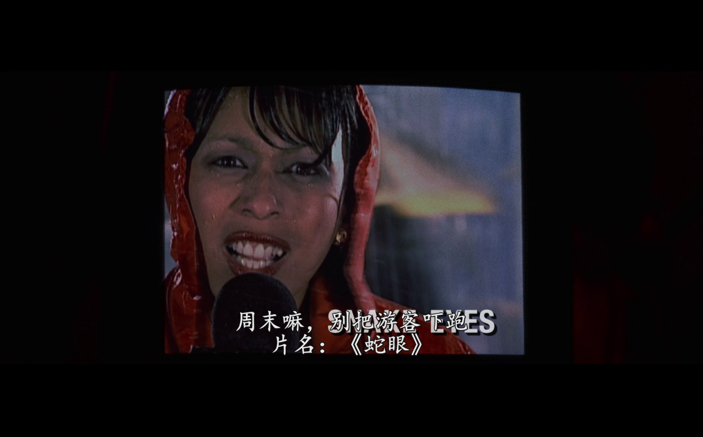 [蛇眼].Snake.Eyes.1998.BluRay.1080p.AVC.DTS-HD.MA.5.1-碟痴痴@BDarea   23.3G-3.png