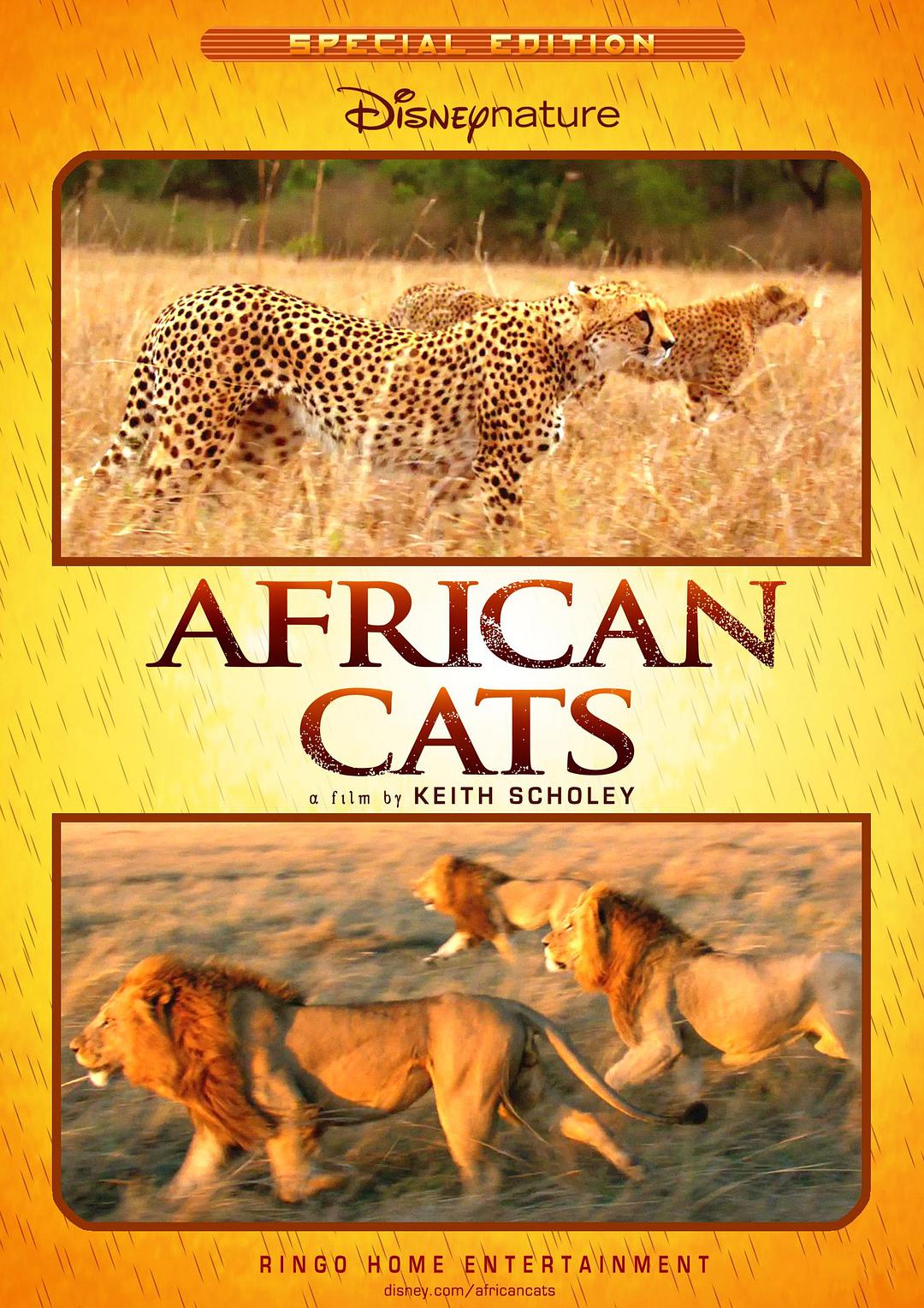 [非洲猫科动物].DisneyNature.African.Cats.Kingdom.of.Courage.2011.BluRay.1080p.AVC.DTS-HD.MA.5.1-CMCT      44.75G-2.jpg