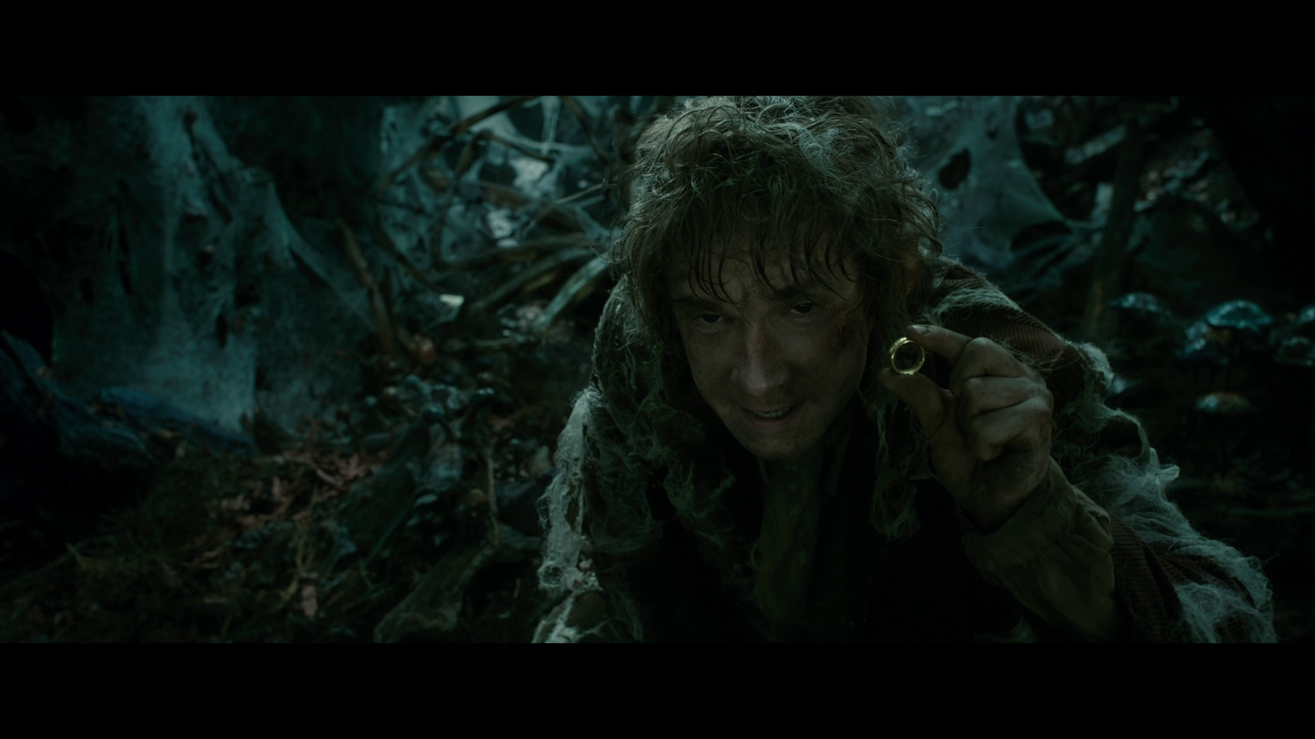 [霍比特人2].The.Hobbit.The.Desolation.of.Smaug.2013.EXTENDED.BluRay.1080p.AVC.DTS-HD.MA.7.1-Tay   41.01G- u2 n) A4 b( T-7.png