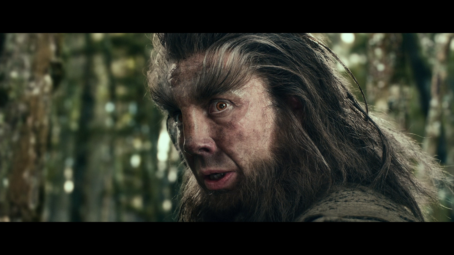 [霍比特人2].The.Hobbit.The.Desolation.of.Smaug.2013.EXTENDED.BluRay.1080p.AVC.DTS-HD.MA.7.1-Tay   41.01G- u2 n) A4 b( T-9.png