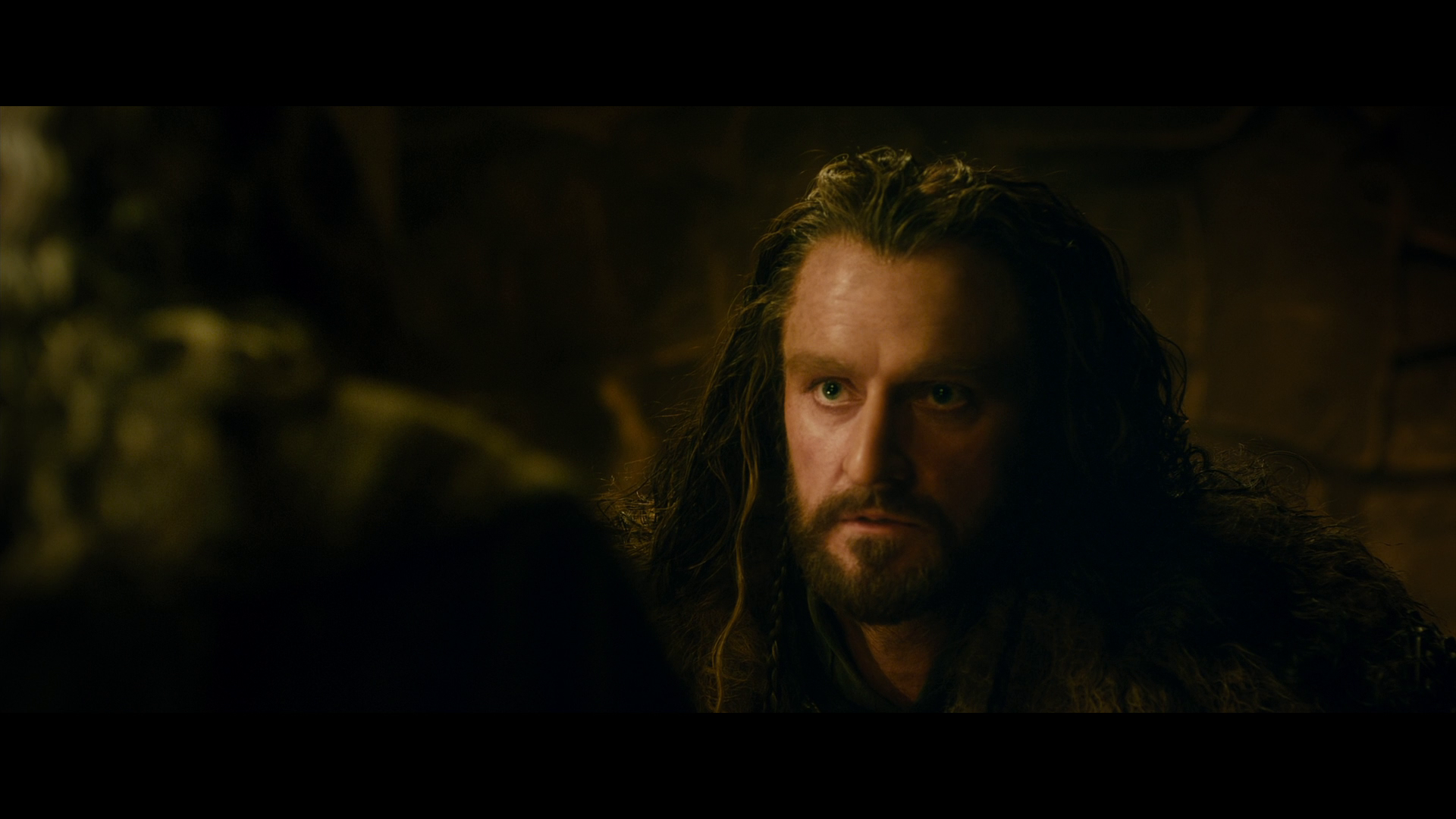 [霍比特人2].The.Hobbit.The.Desolation.of.Smaug.2013.EXTENDED.BluRay.1080p.AVC.DTS-HD.MA.7.1-Tay   41.01G- u2 n) A4 b( T-13.png