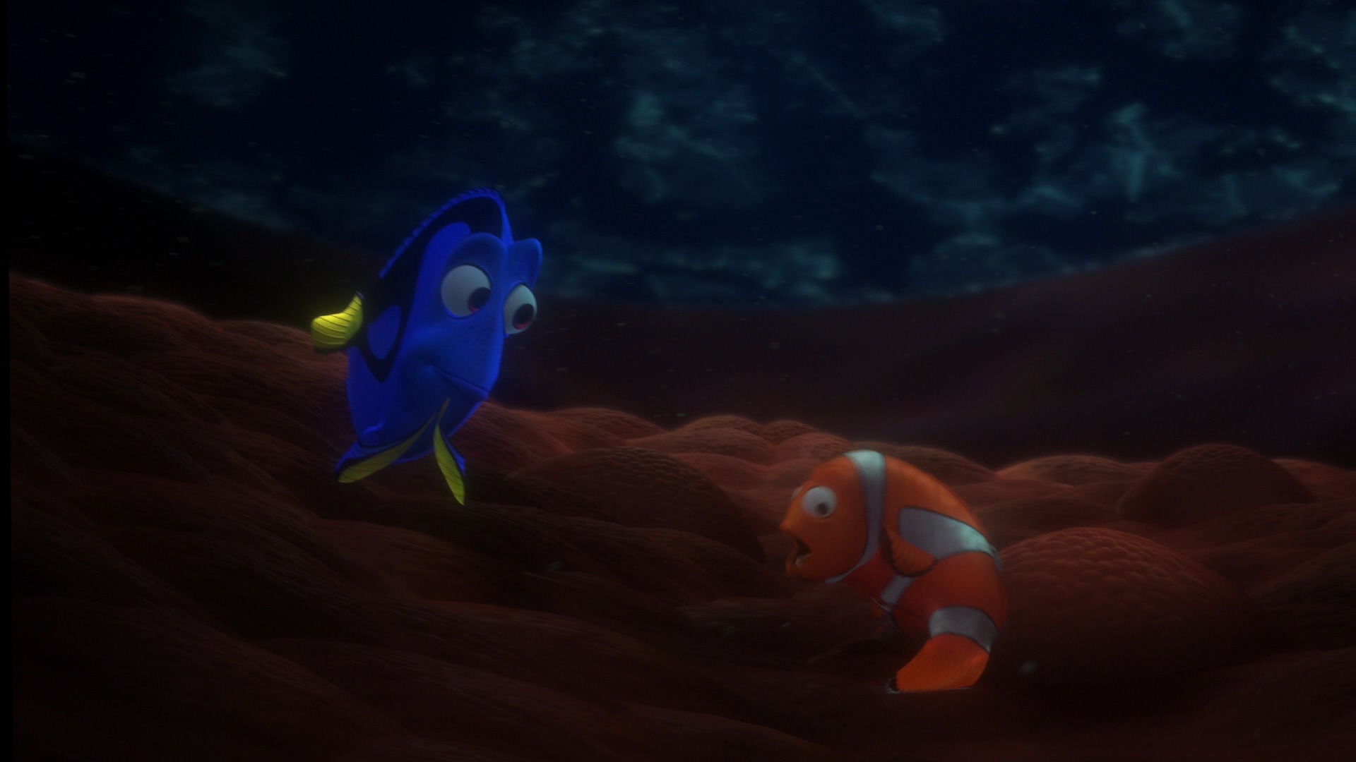 [海底总动员].Finding.Nemo.2003.3D.BluRay.1080p.AVC.TrueHD.7.1-4KGrubby-DIY@HDStar     42.2G-12.jpg