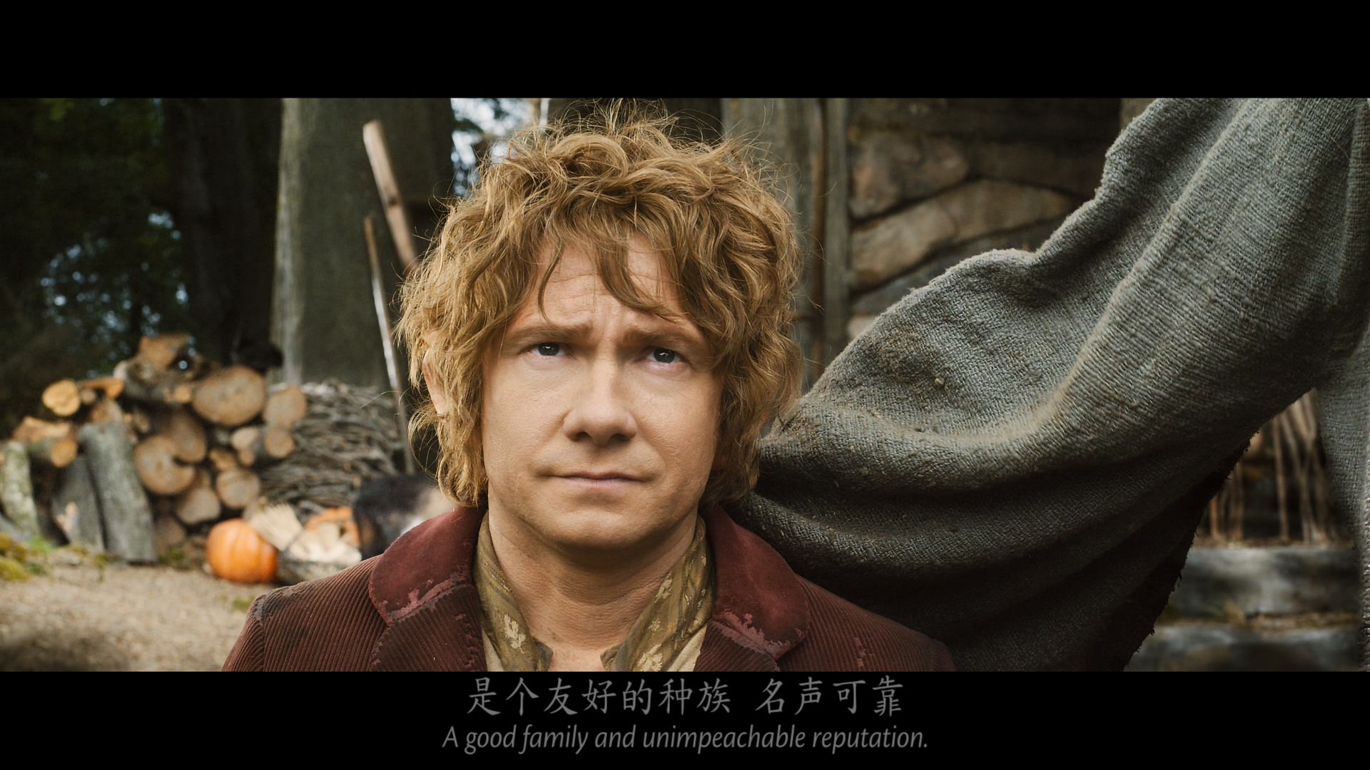 霍比特人2:史矛革之战 [DIY简繁双语字幕] 4K UHD dolby vision] 186分钟加长版 The Hobbit The Desolation of Smaug 2013 2160p UHD Atmos-wezjh@OurBits [83.48GB]-6.jpg