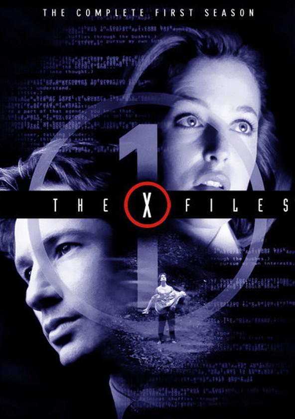 [美剧:X档案 第一季] [全六碟 共24集][DIY R3TW简繁字幕] The X-Files Season 1 1080p BluRay AVC DTS-HD MA 5.1-DIY@HDHome    [271.37 GB  ]