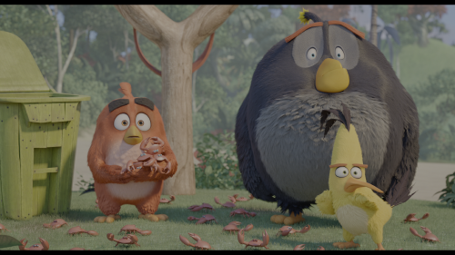 [愤怒的小鸟2/愤怒鸟大电影2(港)/愤怒鸟玩电影2(台)][原生国粤台配音轨/简繁字幕] The Angry Birds Movie 2 2019 2160p UHD Blu-ray HEVC DTS-HD MA 7.1-TERMiNAL    [53.62 GB ]-2.png