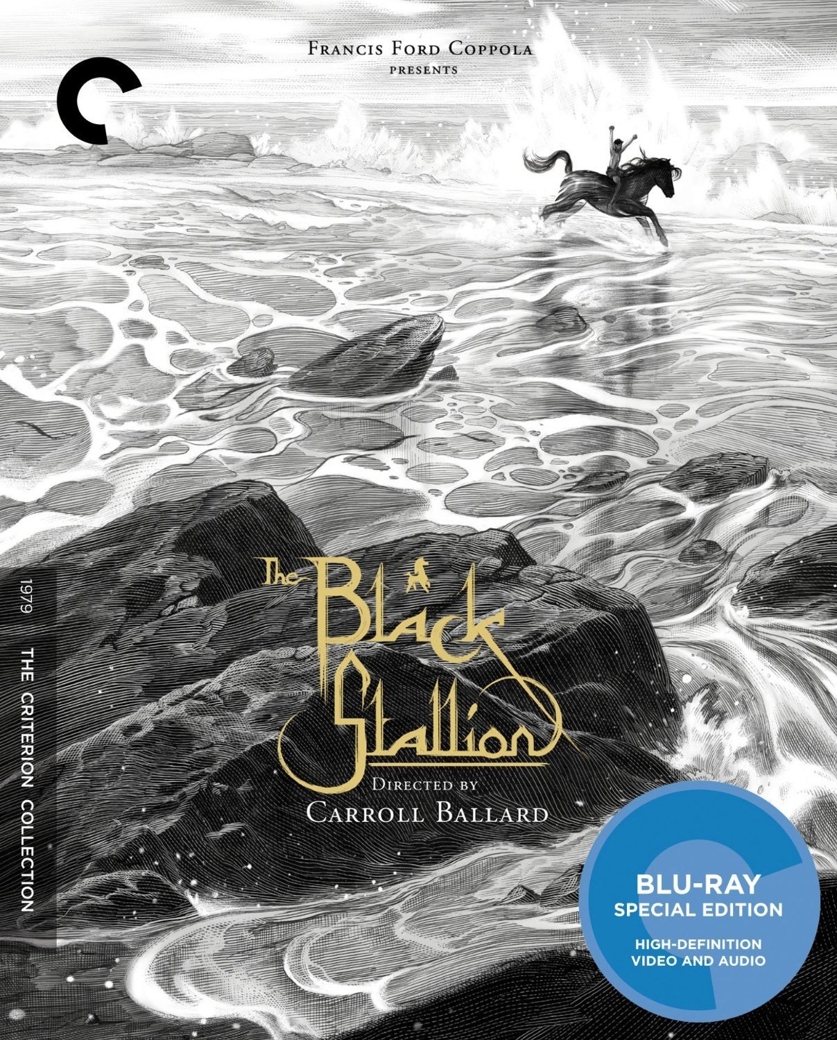 黑神驹/沙漠黑驹/灵驹 [简体/简英双语字幕] The Black Stallion 1979 1080p Criterion Collection Blu-ray AVC DTS-HD MA 2 0-DIY@miracle1934[44.03GB]-1.jpg