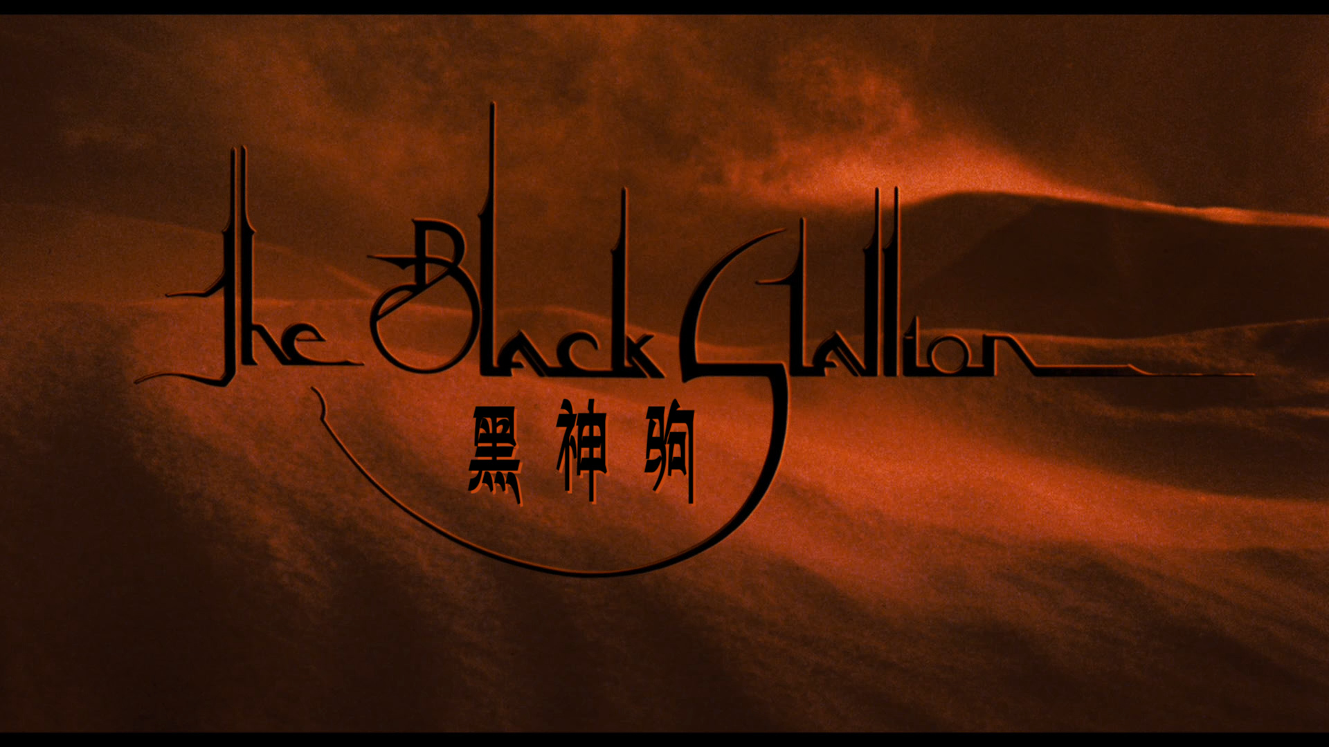 黑神驹/沙漠黑驹/灵驹 [简体/简英双语字幕] The Black Stallion 1979 1080p Criterion Collection Blu-ray AVC DTS-HD MA 2 0-DIY@miracle1934[44.03GB]-4.jpg