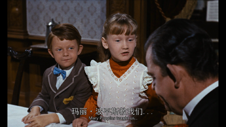 欢乐满人间/玛丽·波平斯[50周年纪念版][DIY CatchPlay简繁英六字幕] Mary Poppins 1964 USA 50th Anniversary Edition 1080p DTS-HD MA 7.1-DIY@LeagueHD[ 44.04GB]-8.png