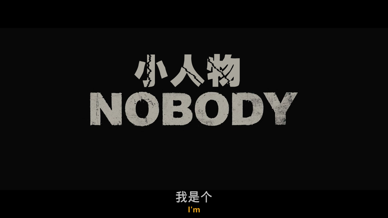 小人物 【DIY简繁+简繁英双语字幕】 Nobody 2021 1080p TWN Blu-ray AVC Atmos TrueHD 7.1-lingfriendly@OurBits    [34.25 GB]-2.png