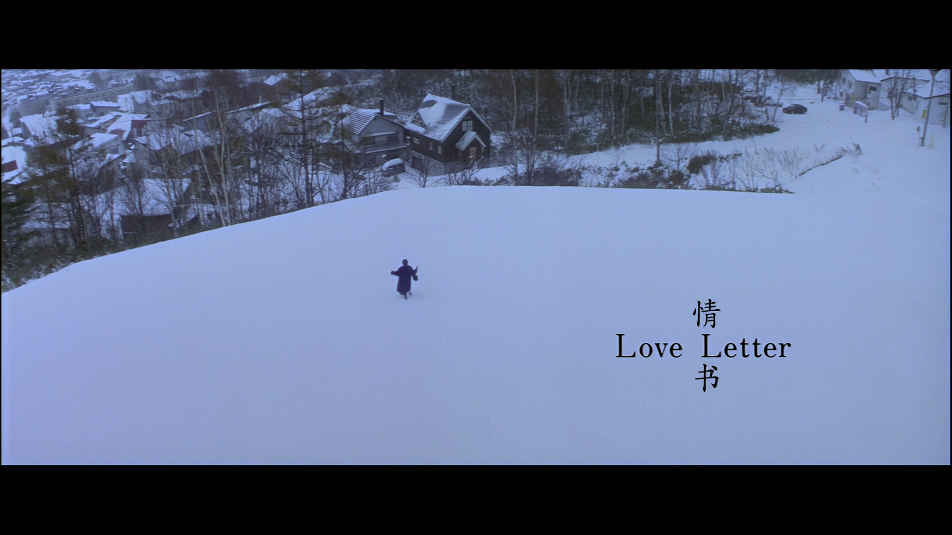 情书 / 情書 [DIY国粤语+R3简繁中字+国配简繁中字]附赠原声OST+SCAN图 Love Letter 1995 1080p JPN Blu-ray AVC TrueHD 5.1-lingfriendly@OurBits[41.4GB]-2.png