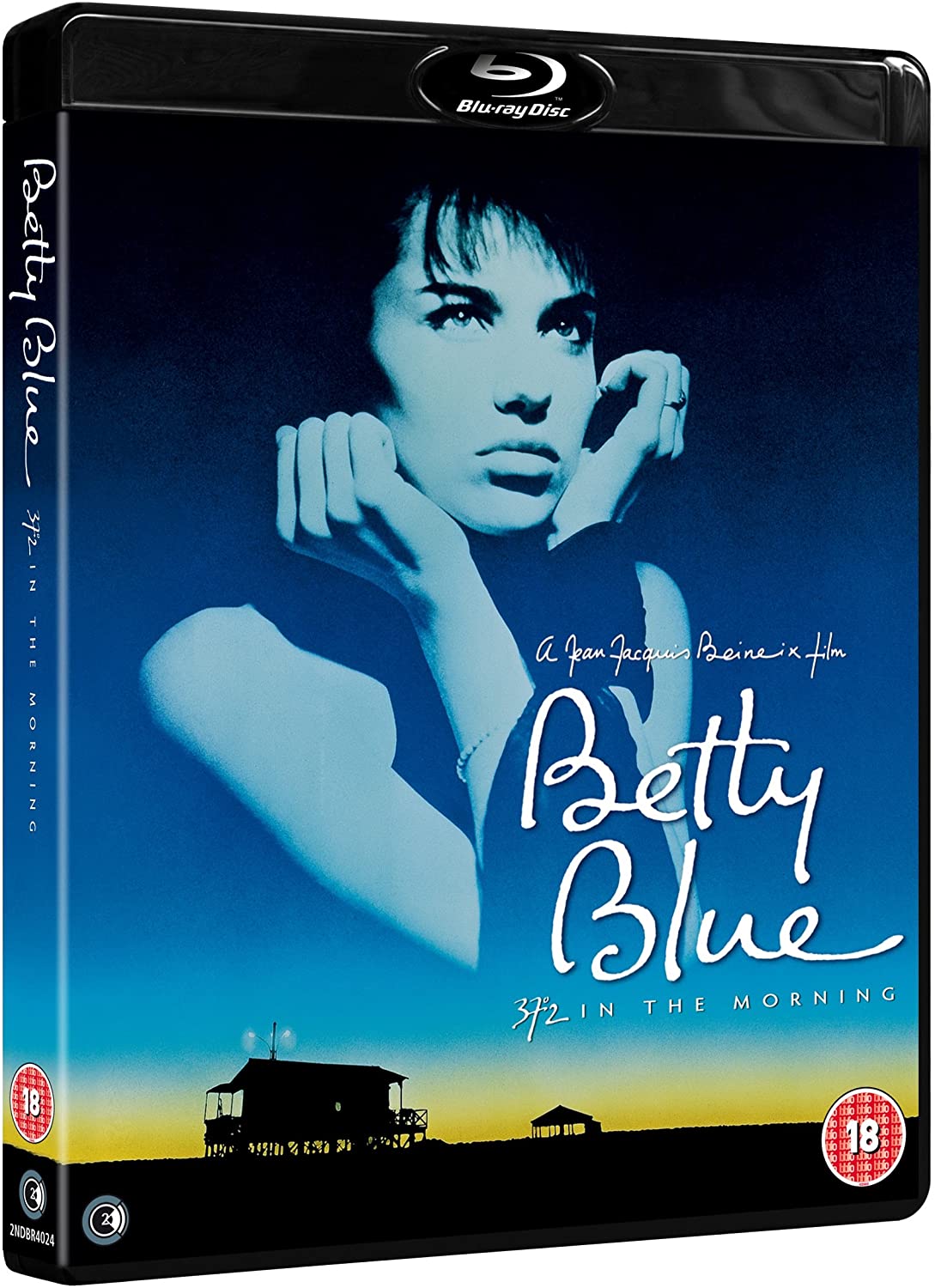 巴黎野玫瑰 德版原盘 未刪减导演剪辑版[DIY简繁+简繁英双语字幕] Betty Blue 1986 Director's Cut PROPER 1080p GER Blu-ray AVC LPCM 2.0-IWUBEN@OurBits[45.86GB]-1.jpg