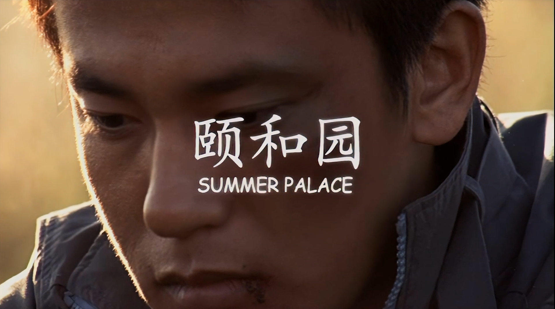 颐和园 [内地禁片高清修复简繁中字] Summer Palace 2006 DVD Blu-ray 1080p AVC AC3-5 1-BHYS@OurBits[20.27GB]-2.png